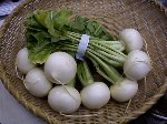 写真：葉付きカブ