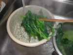 写真：茹でたあと、水にとる