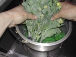 写真：茎本から沸騰水に入れる