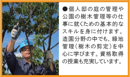 個人邸や公園の樹木管理等の仕事に就くための基本スキルを身に付けます。緑地管理を中心に学びます。