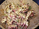 写真:土砂を洗い落とす
