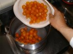 写真:キンカンを鍋に入れるところ