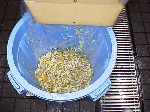 写真:(3)のレモンの両端を細かく切る