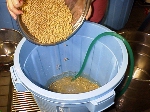 写真2:大豆を良く洗う