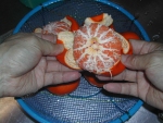 写真2：ミカンの皮を剥く