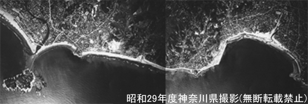 1954年4月21日の写真