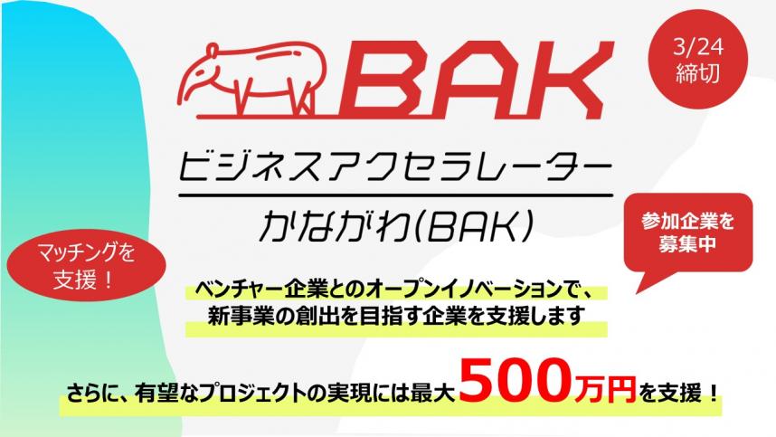 bakpartnerbosyu2023
