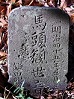 馬頭観世音
