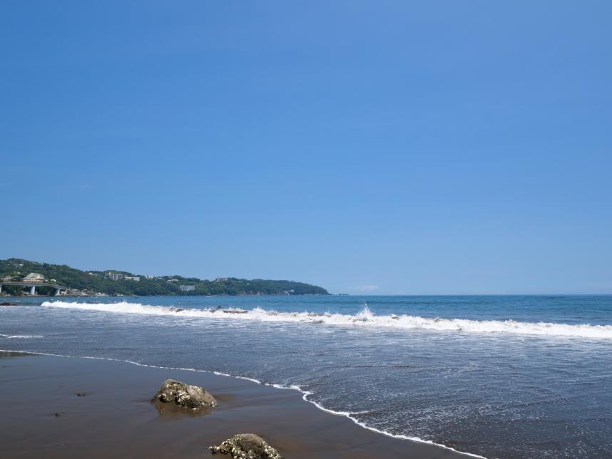 海