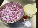 写真：ヤエザクラの花1kg