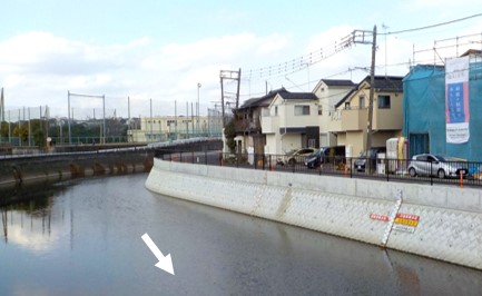 引地川の護岸整備（大和市）