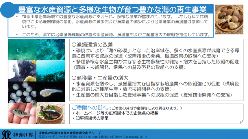 0511-01_ocean_regeneration