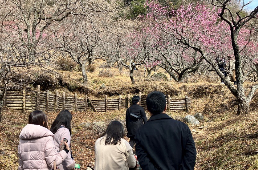 公園散策の様子