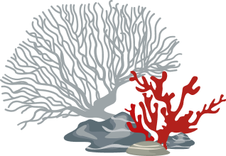 Tree img