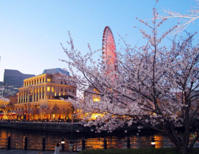 yokohama area image