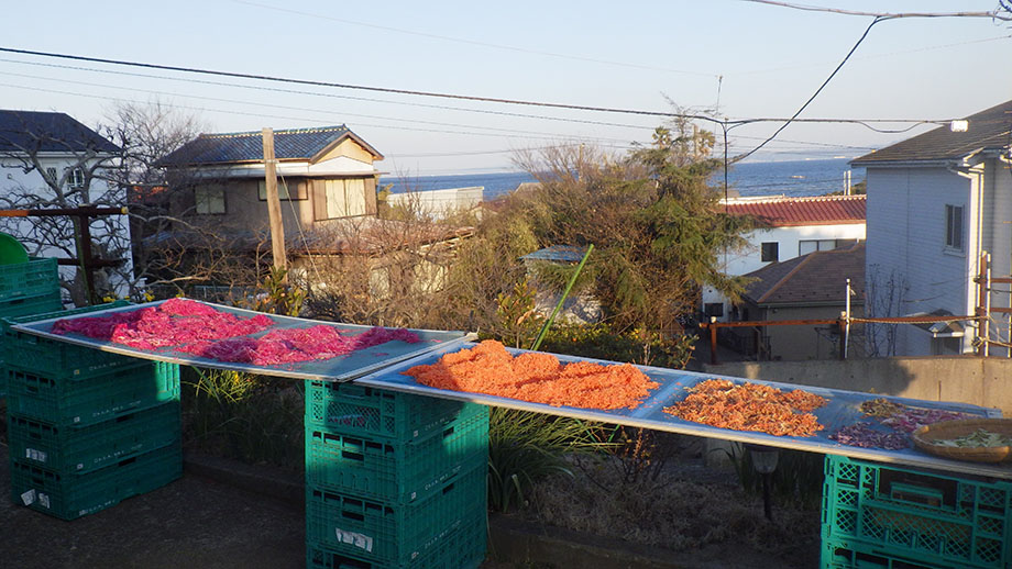 くろぜむ農園