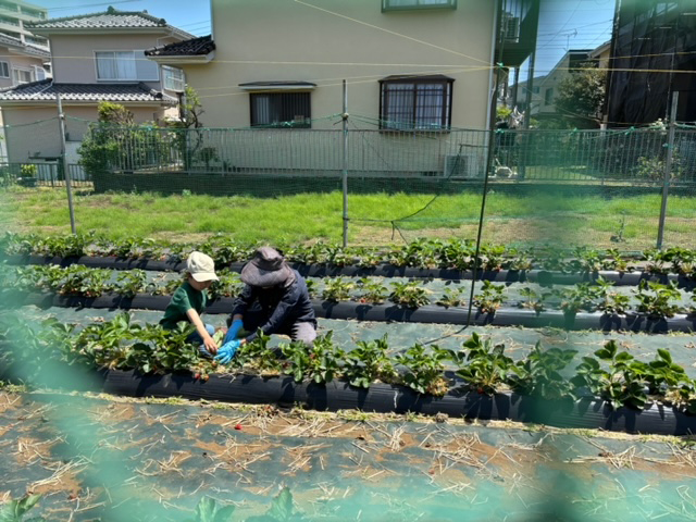 稲岡 愛の写真