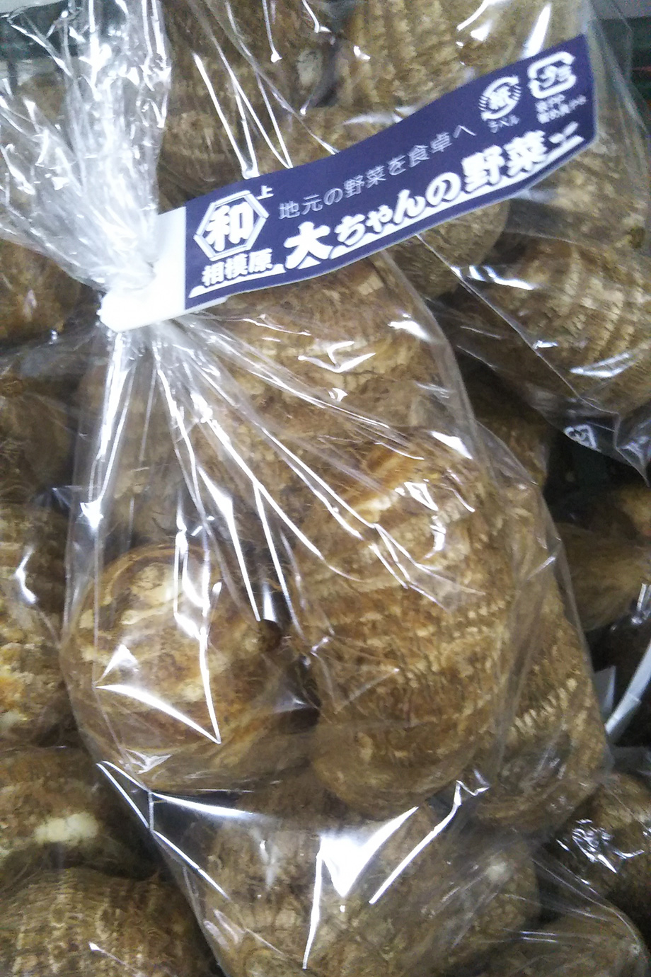 和泉 奈美恵の写真