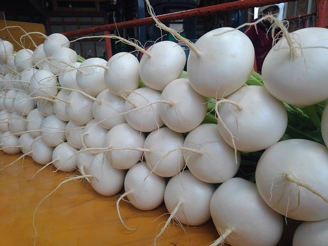 石井 浩子の写真