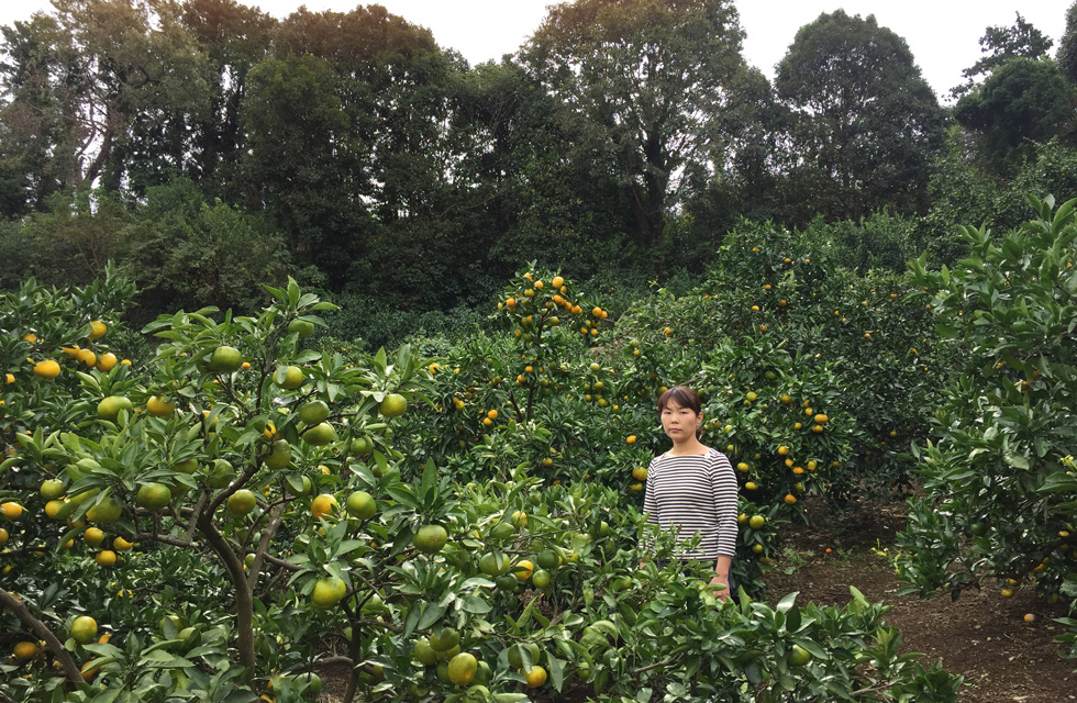 秋澤 恵里の写真