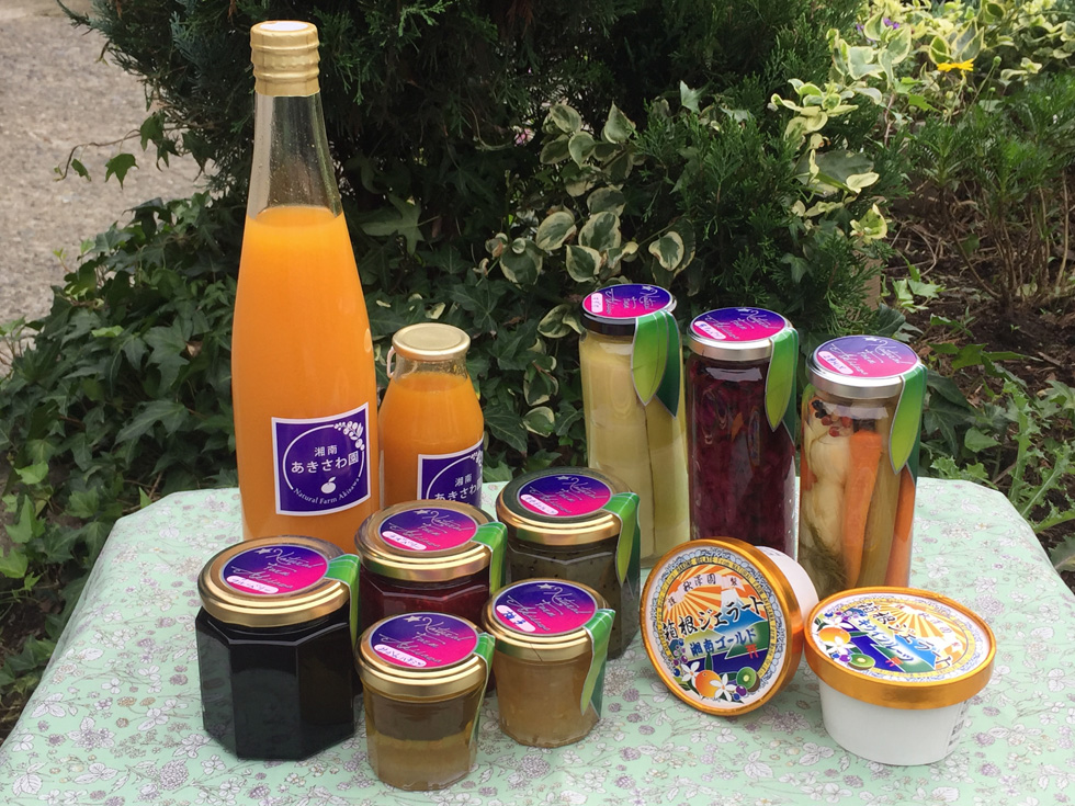 秋澤 恵里の写真