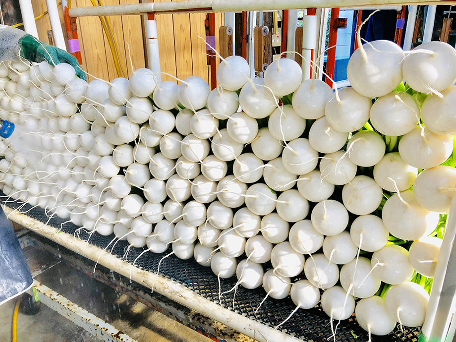 石井 由貴の写真