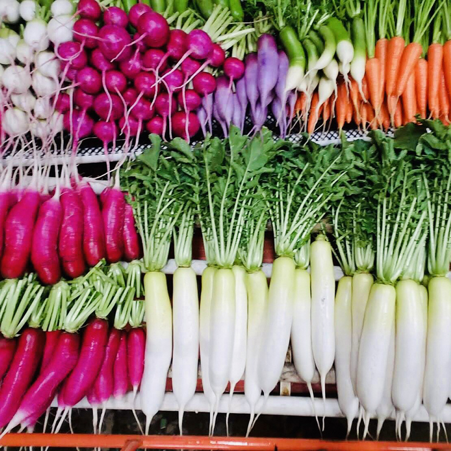 石井 由貴の写真