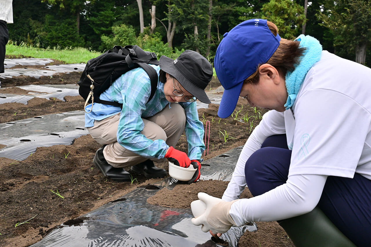 小さな苗に映る、それぞれの1ヶ月