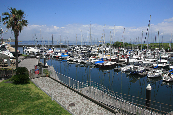 シティマリーナヴェラシス