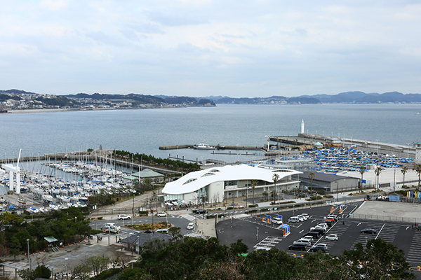 江の島ヨットハーバー（湘南港)