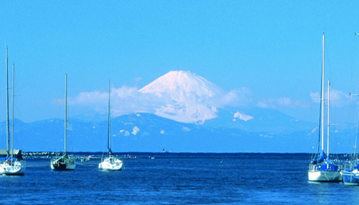 油壺京急マリーナ