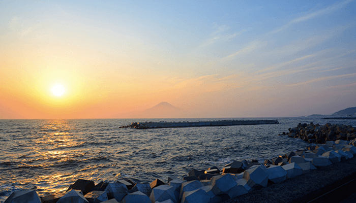 湘南サニーサイドマリーナ