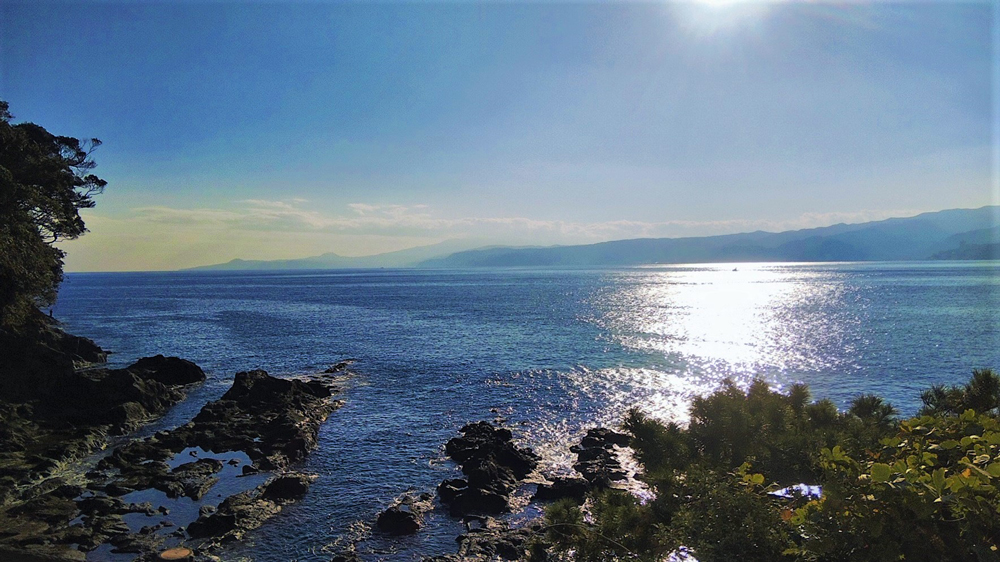 해변 리조트 푸른 바다