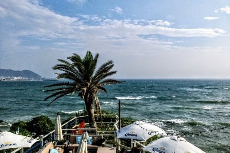 BeachHouse「surfers」