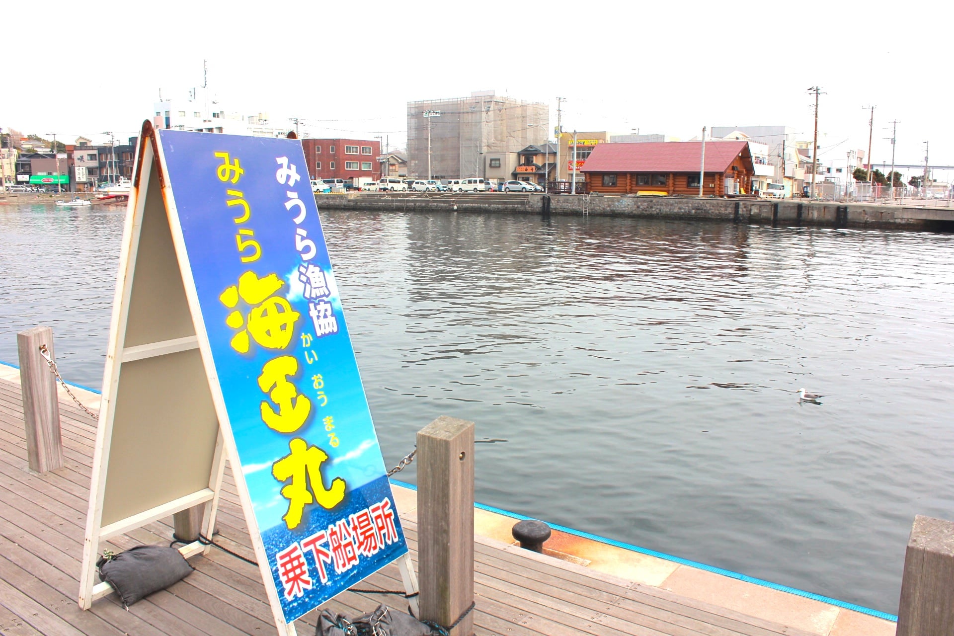 미우라 가이오우