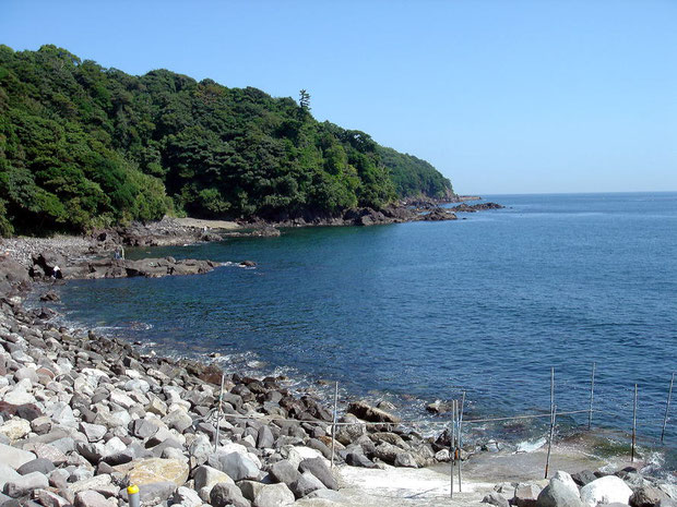 후쿠우라 다이빙 서비스