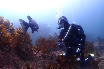 ダイビングショップNANA