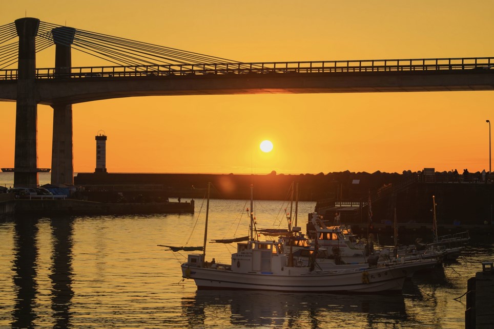  セリ市見学と、漁港の朝メシツアー