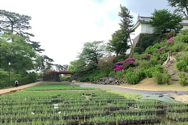 小田原城绣球鸢尾花节