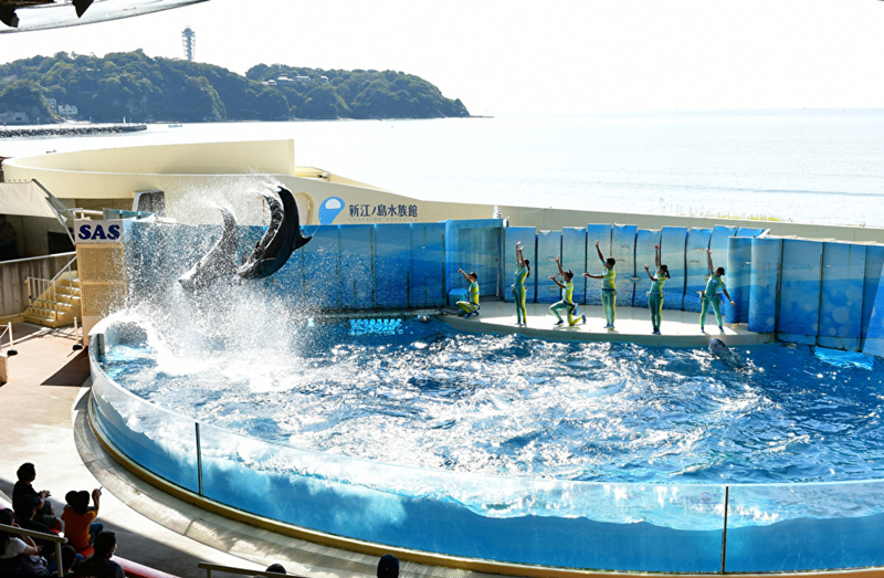 新江ノ島水族館