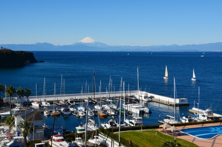 こあじろ・シーボニアマリーナ海の駅