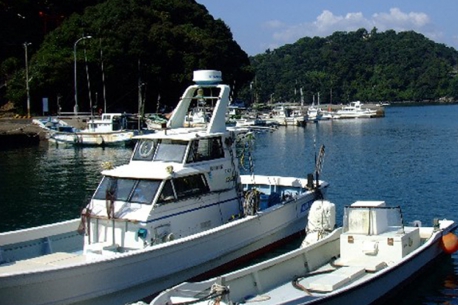 まなづる海の駅