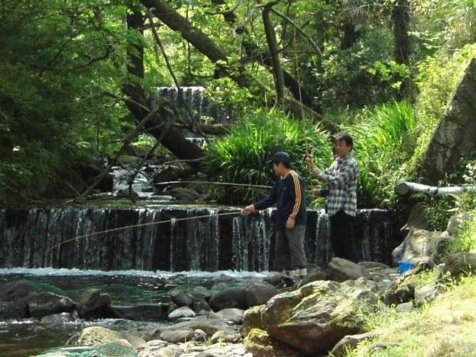 白糸マス釣りセンター