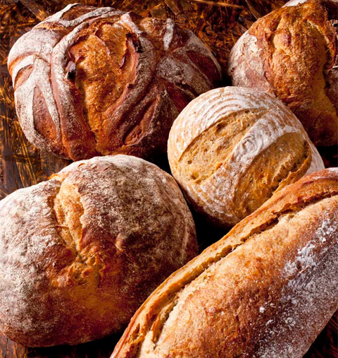 ブレッド＆サーカス