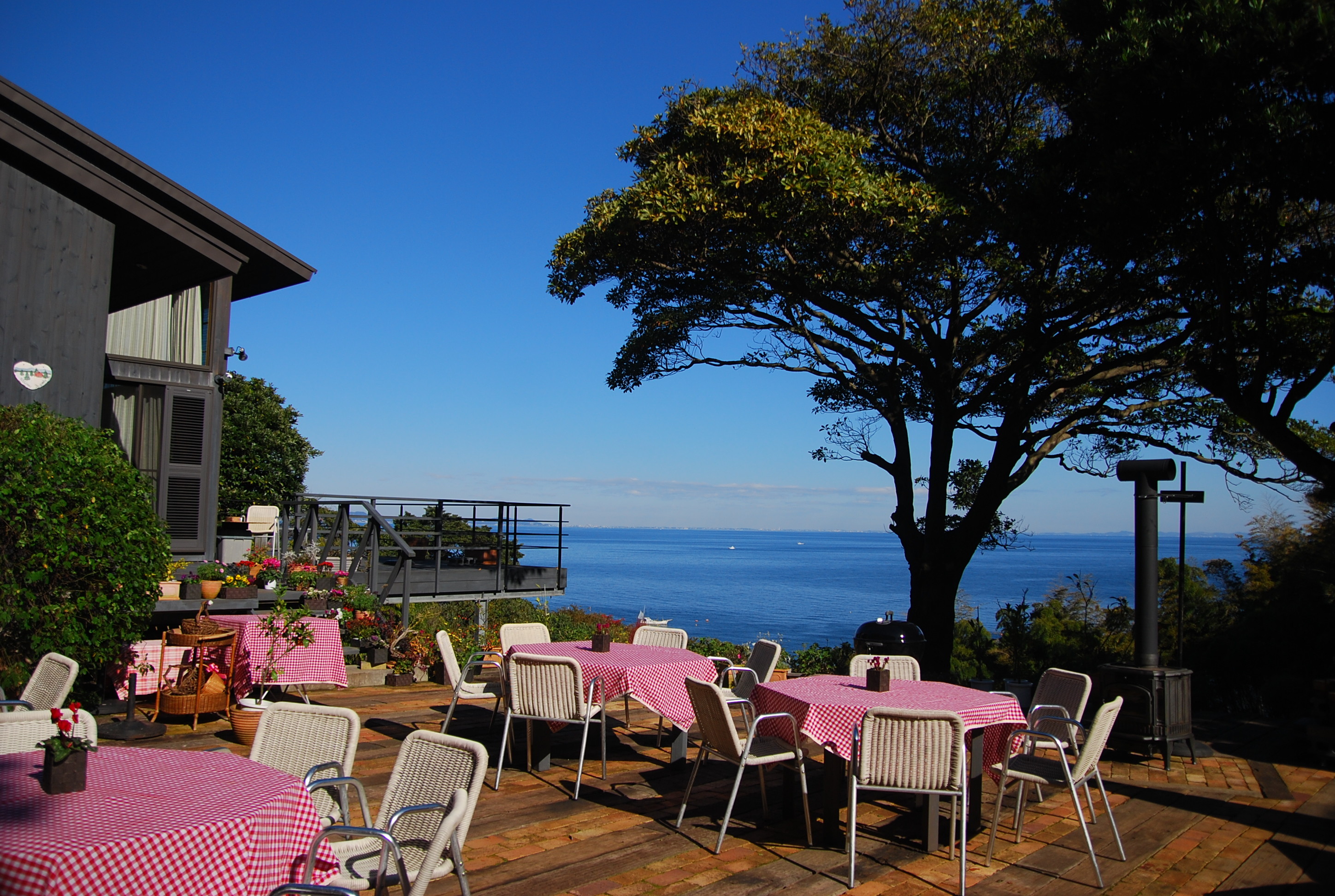 オレンジフローラル ファーム