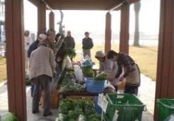 片瀬漁港直売所