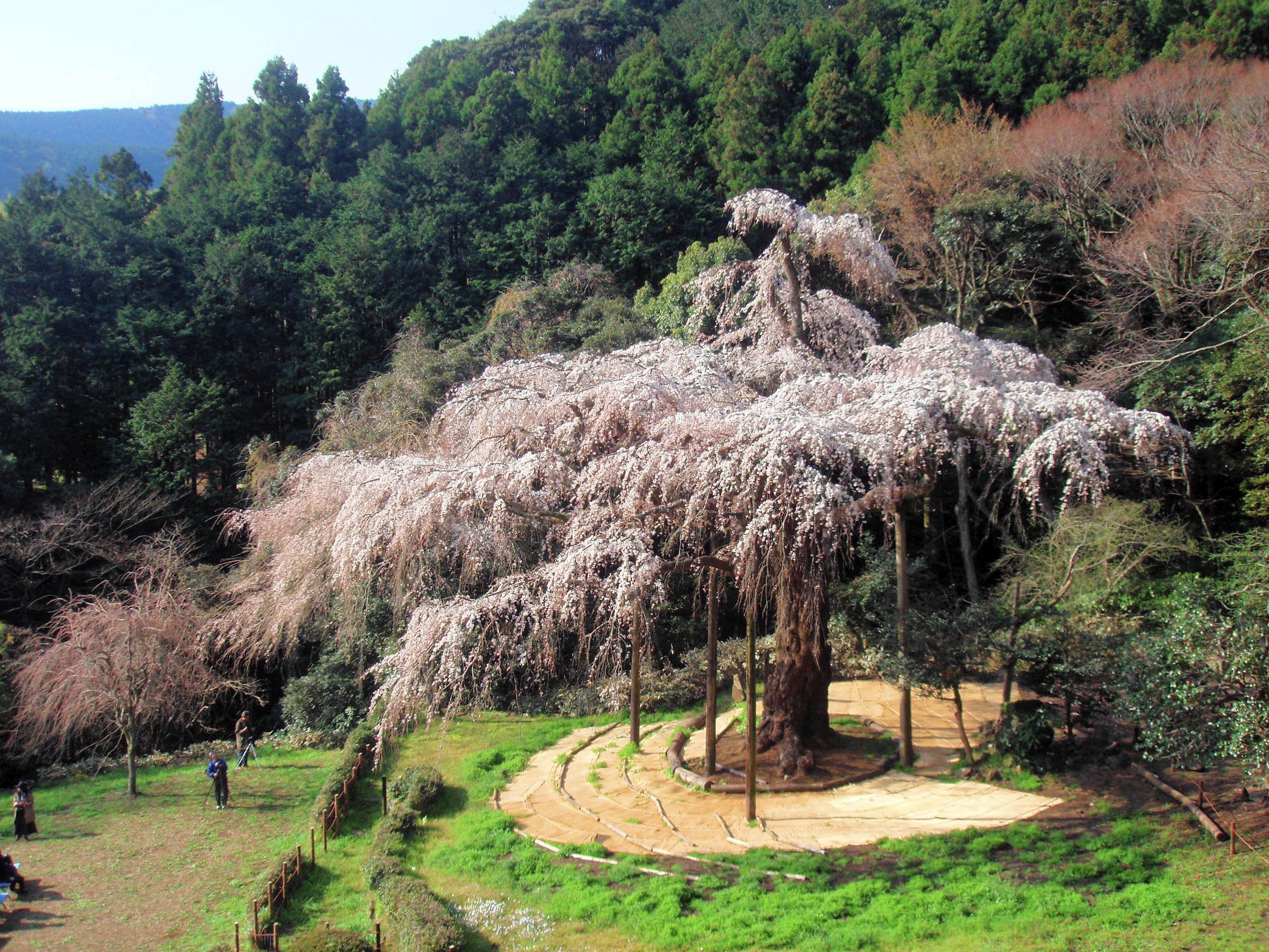長興山 紹太寺