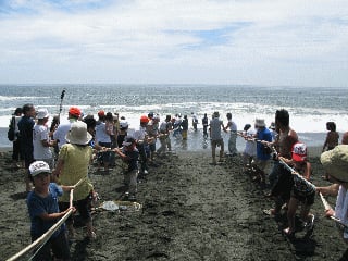 観光地引網 市五郎丸