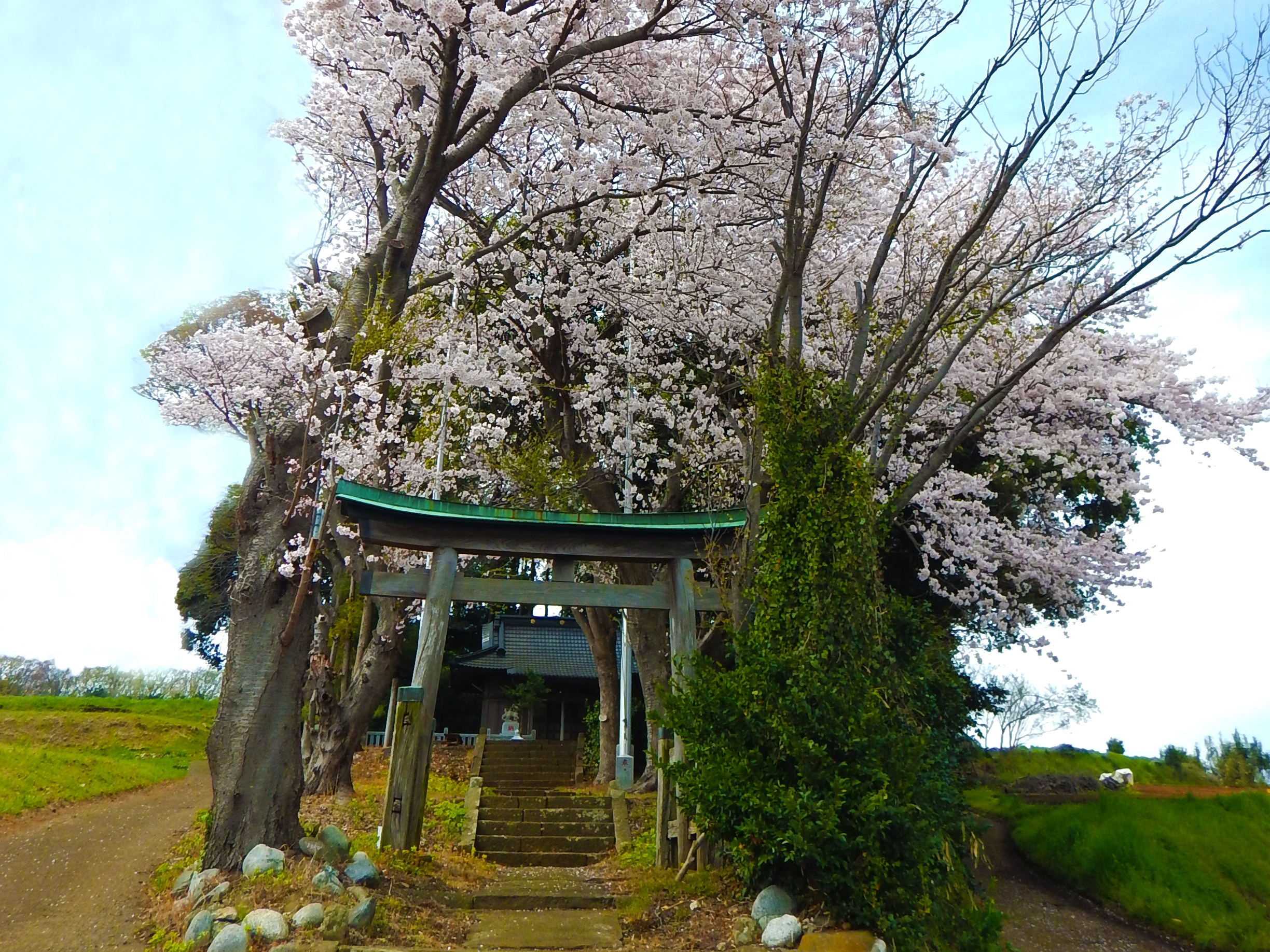 八剱（やつるぎ）神社