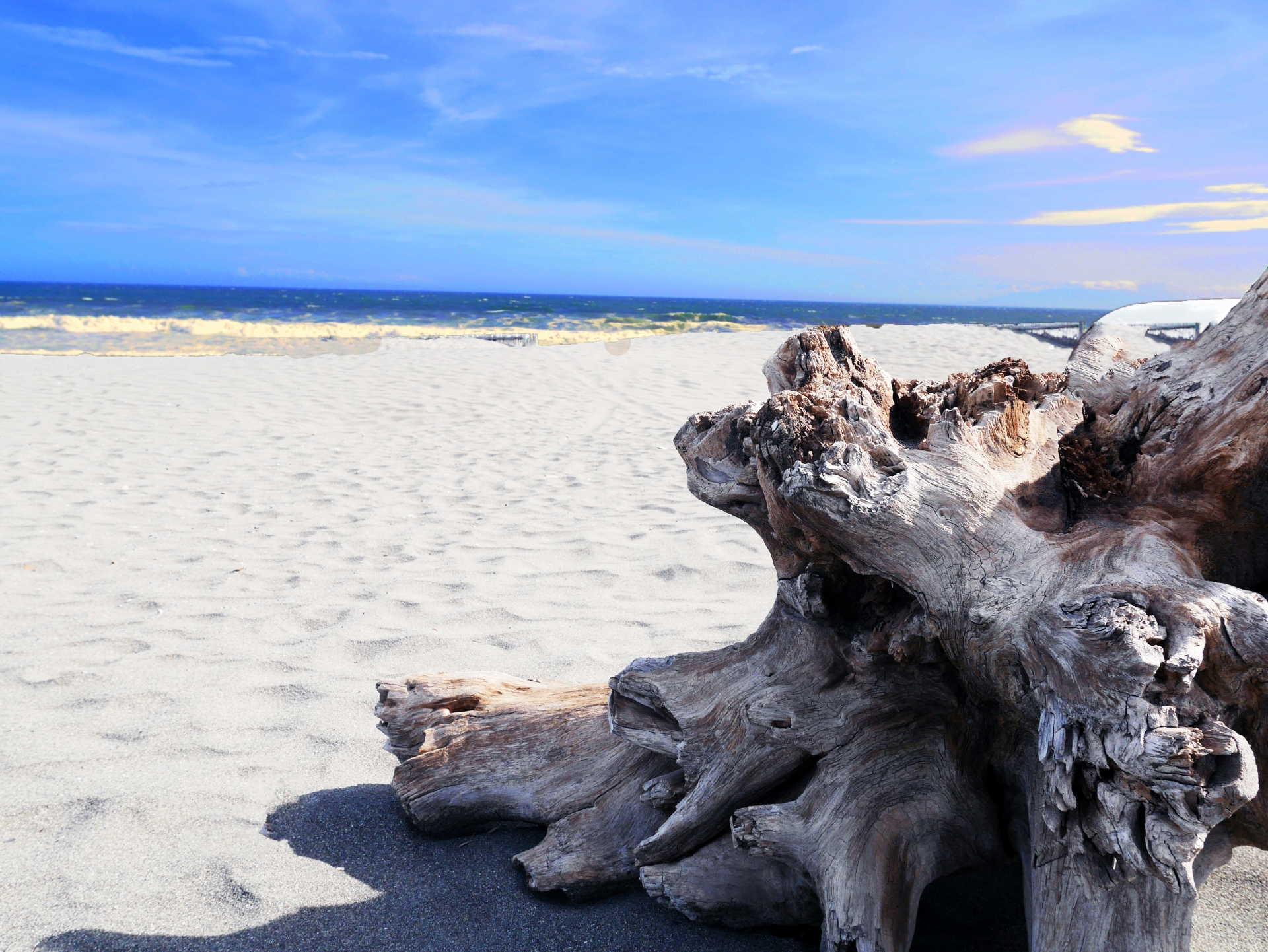 辻堂海水浴場（辻堂海岸）